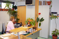 Naročanje